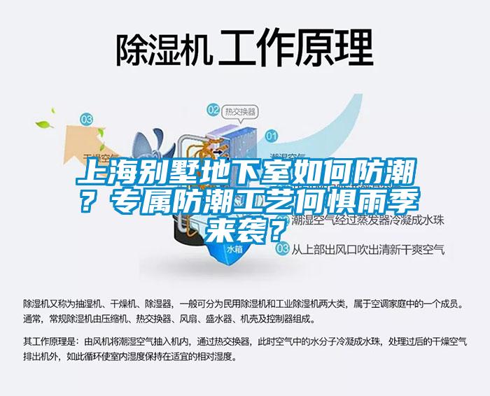 上海別墅地下室如何防潮？專屬防潮工藝何懼雨季來襲？