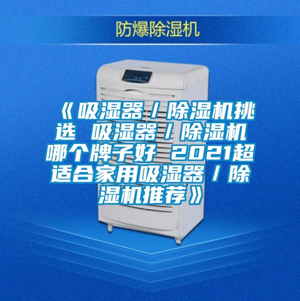 《吸濕器/除濕機挑選 吸濕器/除濕機哪個牌子好 2021超適合家用吸濕器/除濕機推薦》