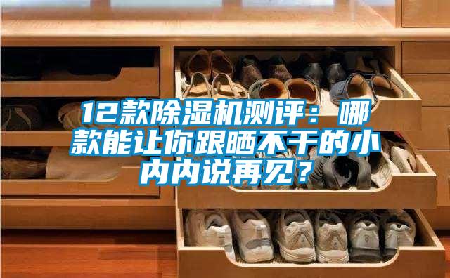 12款除濕機(jī)測(cè)評(píng):哪款能讓你跟曬不干的小內(nèi)內(nèi)說(shuō)再見(jiàn)?