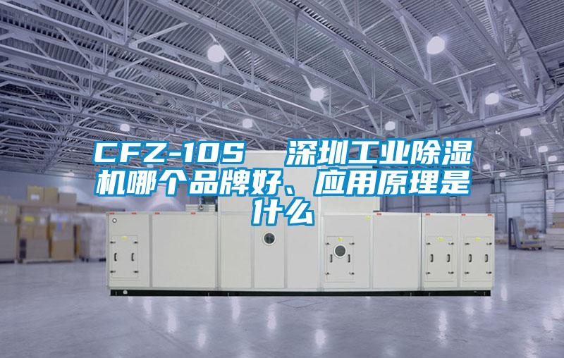 CFZ-10S  深圳工業除濕機哪個品牌好、應用原理是什么
