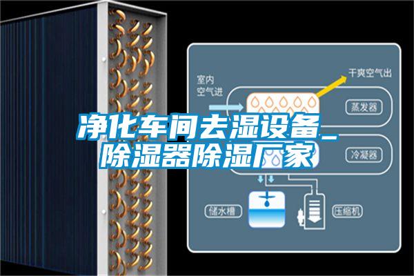 凈化車(chē)間去濕設(shè)備_除濕器除濕廠(chǎng)家