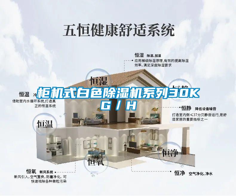 柜機式白色除濕機系列30KG/H