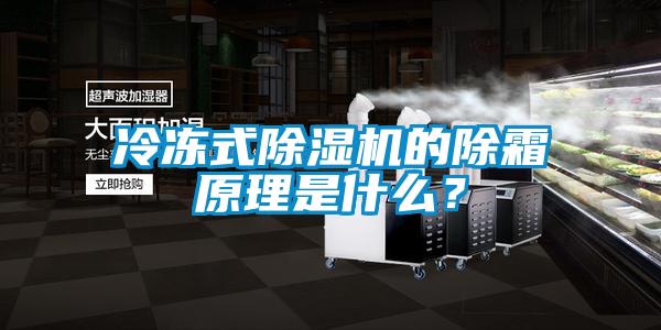 冷凍式除濕機(jī)的除霜原理是什么？