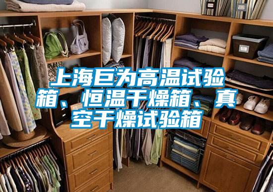 上海巨為高溫試驗(yàn)箱、恒溫干燥箱、真空干燥試驗(yàn)箱