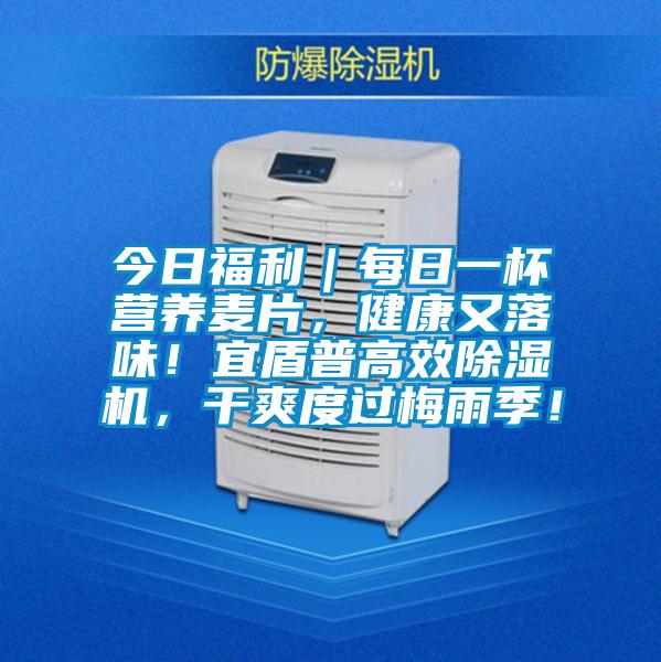 今日福利｜每日一杯營(yíng)養(yǎng)麥片，健康又落味！宜盾普高效除濕機(jī)，干爽度過(guò)梅雨季！