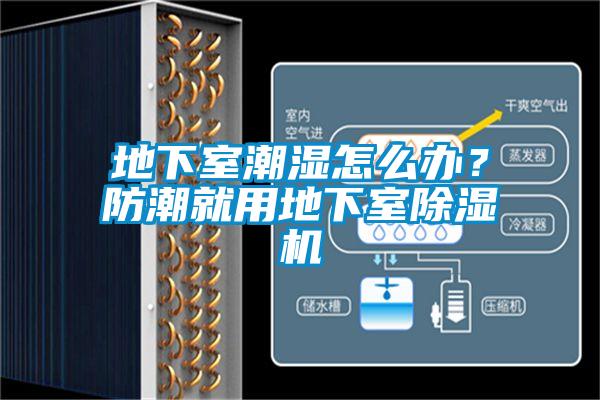地下室潮濕怎么辦？防潮就用地下室除濕機