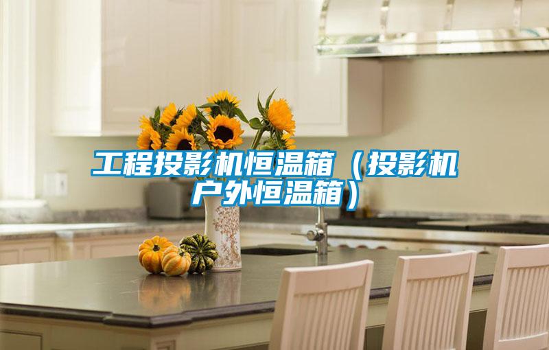 工程投影機恒溫箱(投影機戶外恒溫箱)