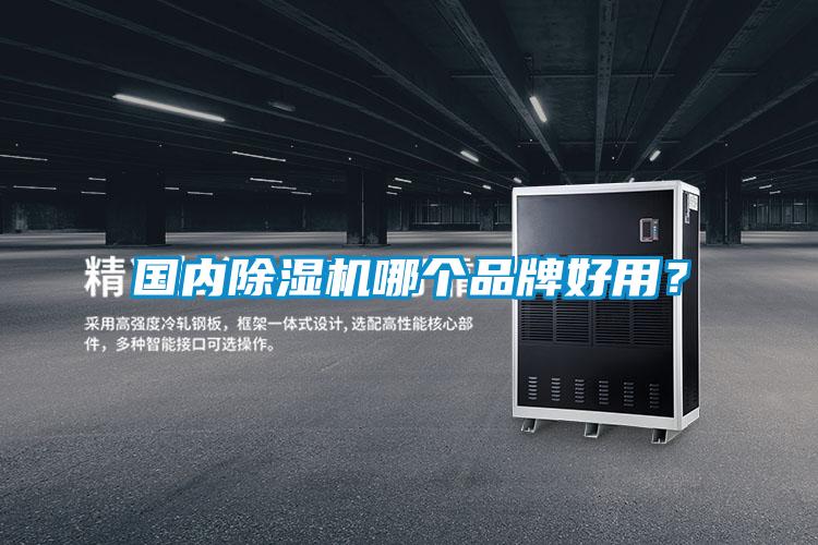 國內除濕機哪個品牌好用?