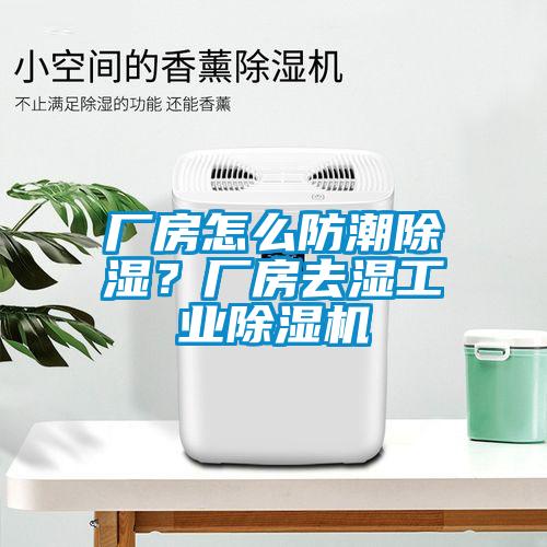 廠房怎么防潮除濕？廠房去濕工業除濕機