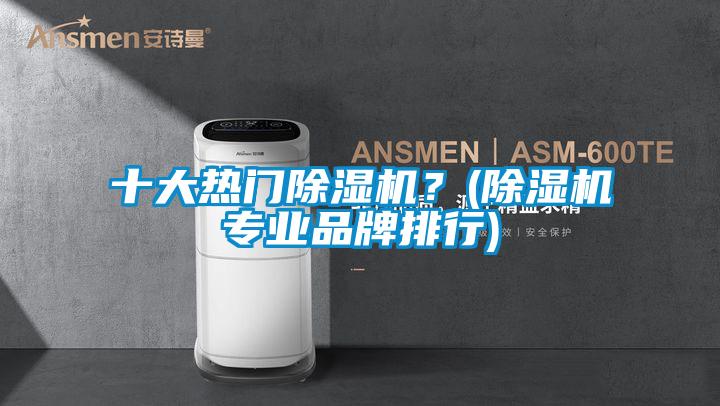 十大熱門除濕機？(除濕機專業品牌排行)