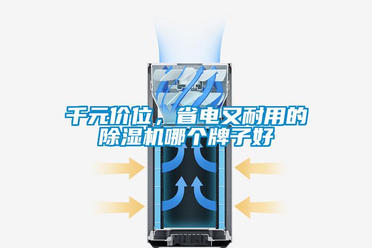 千元價(jià)位,省電又耐用的除濕機(jī)哪個(gè)牌子好
