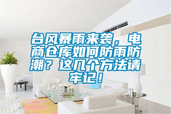 臺(tái)風(fēng)暴雨來襲,電商倉(cāng)庫(kù)如何防雨防潮?這幾個(gè)方法請(qǐng)牢記!