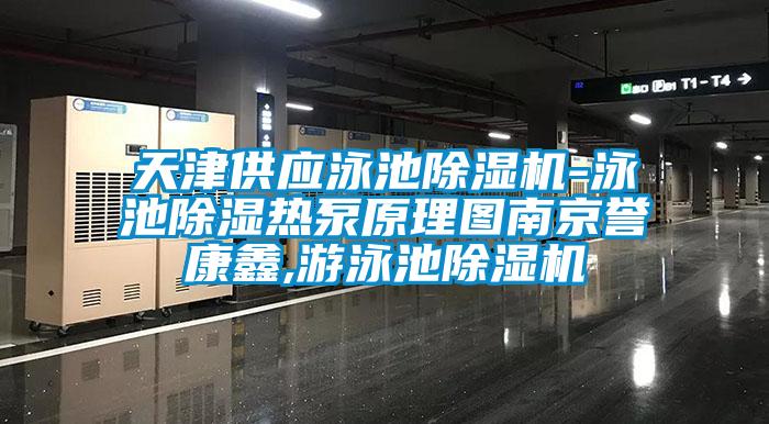 天津供應(yīng)泳池除濕機-泳池除濕熱泵原理圖南京譽康鑫,游泳池除濕機