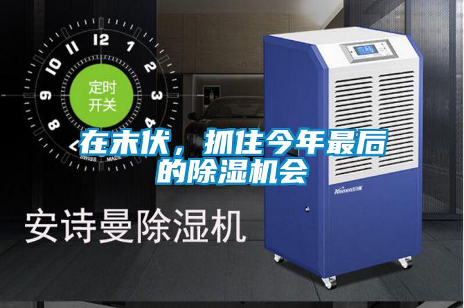 在末伏，抓住今年最后的除濕機會