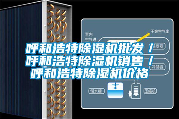 呼和浩特除濕機批發/呼和浩特除濕機銷售/呼和浩特除濕機價格