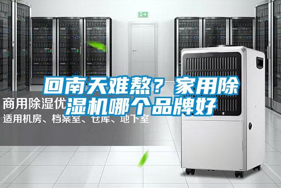 回南天難熬?家用除濕機哪個品牌好