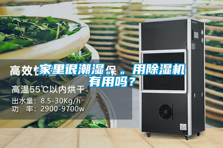 家里很潮濕。。用除濕機有用嗎?