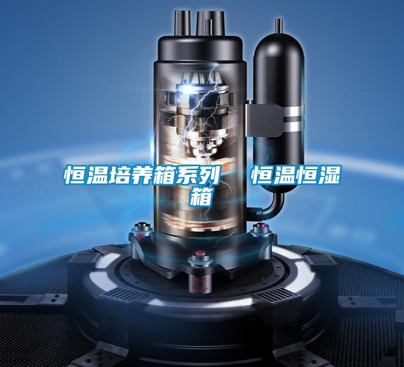 恒溫培養(yǎng)箱系列  恒溫恒濕箱