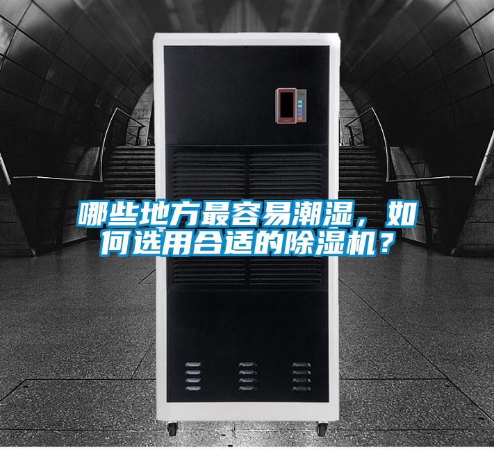哪些地方最容易潮濕，如何選用合適的除濕機(jī)？