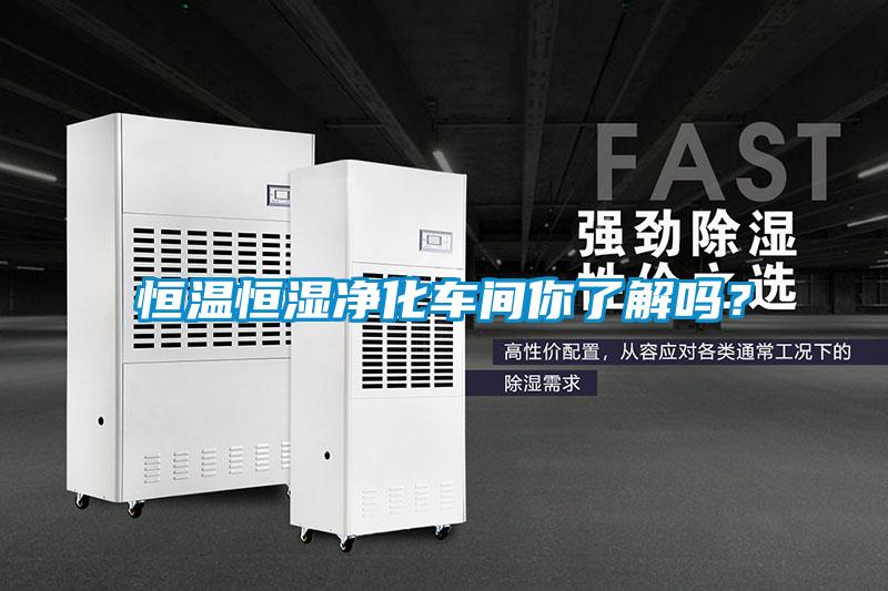 恒溫恒濕凈化車間你了解嗎?