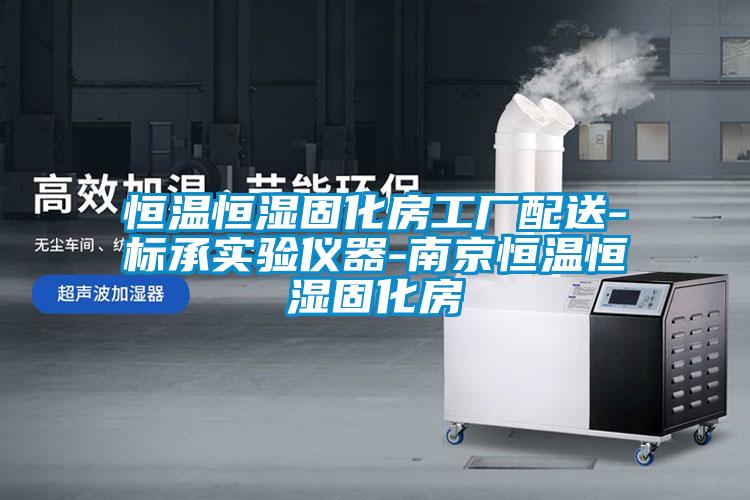 恒溫恒濕固化房工廠配送-標(biāo)承實(shí)驗(yàn)儀器-南京恒溫恒濕固化房