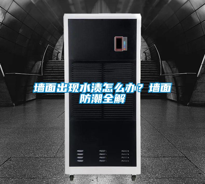 墻面出現(xiàn)水漬怎么辦?墻面防潮全解