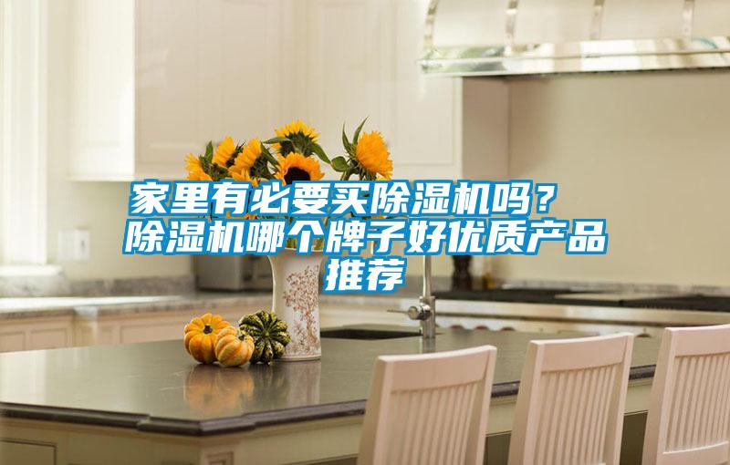 家里有必要買除濕機嗎？ 除濕機哪個牌子好優質產品推薦