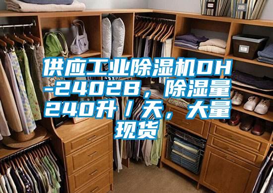 供應工業除濕機DH-2402B，除濕量240升／天，大量現貨