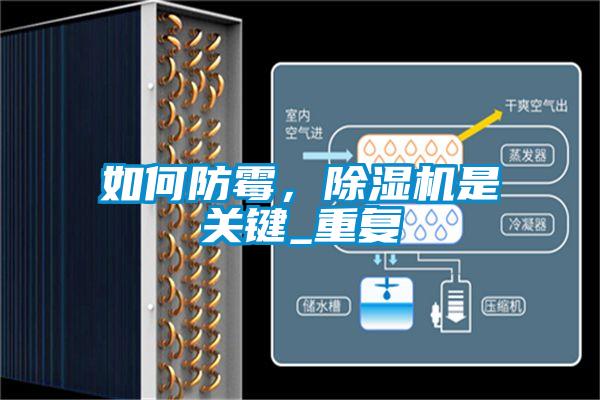 如何防霉,除濕機(jī)是關(guān)鍵_重復(fù)