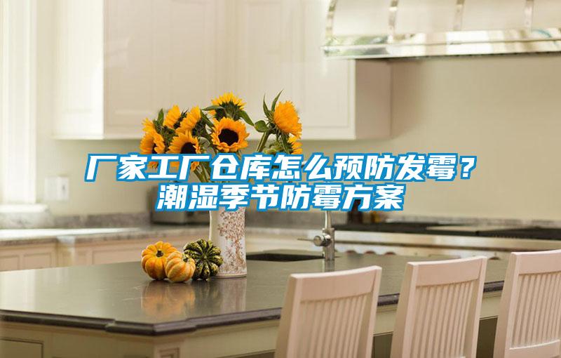 廠家工廠倉庫怎么預防發霉?潮濕季節防霉方案