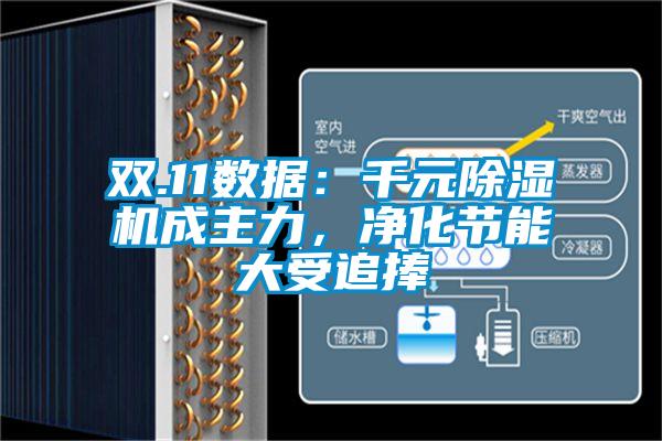 雙.11數(shù)據(jù)：千元除濕機成主力，凈化節(jié)能大受追捧