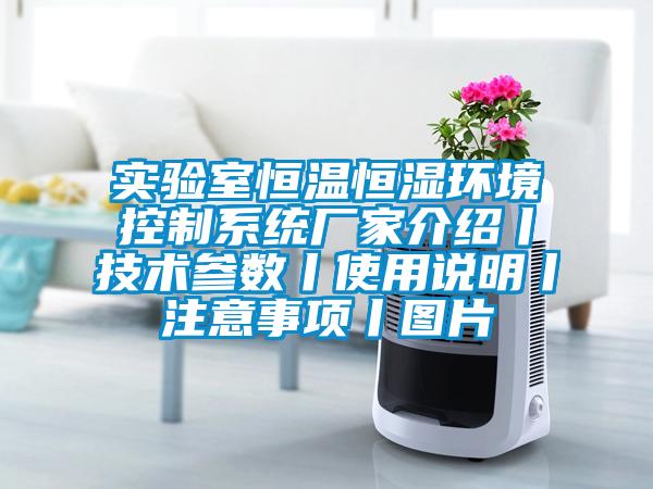實驗室恒溫恒濕環(huán)境控制系統(tǒng)廠家介紹丨技術參數丨使用說明丨注意事項丨圖片