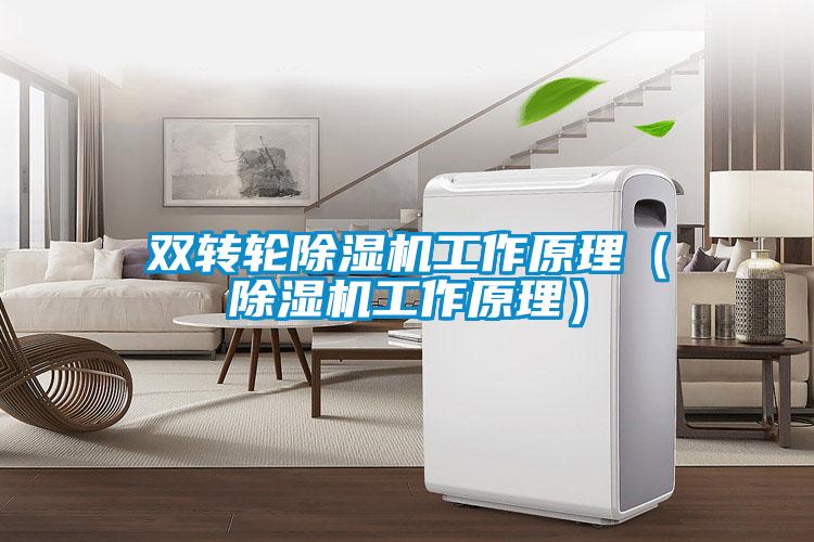 雙轉(zhuǎn)輪除濕機(jī)工作原理(除濕機(jī)工作原理)