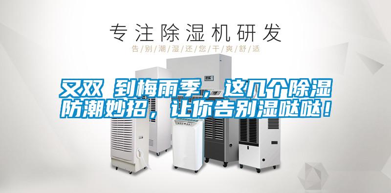 又雙叒到梅雨季，這幾個除濕防潮妙招，讓你告別濕噠噠！