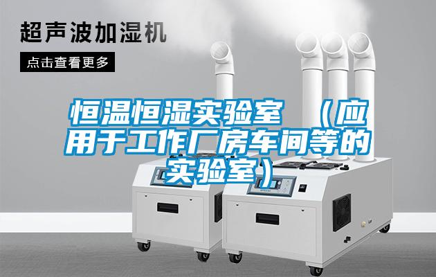 恒溫恒濕實驗室 (應用于工作廠房車間等的實驗室)
