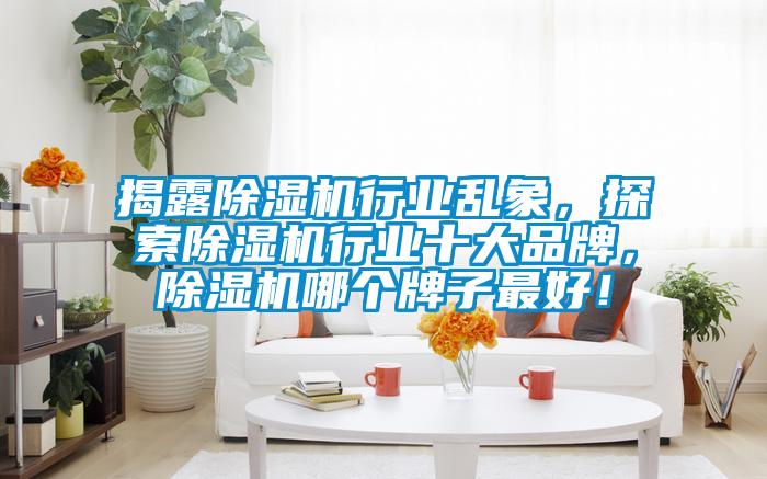 揭露除濕機行業亂象,探索除濕機行業十大品牌,除濕機哪個牌子最好!
