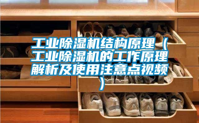 工業(yè)除濕機(jī)結(jié)構(gòu)原理(工業(yè)除濕機(jī)的工作原理解析及使用注意點(diǎn)視頻)