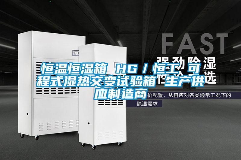 恒溫恒濕箱 HG/恒工 可程式濕熱交變試驗箱 生產供應制造商