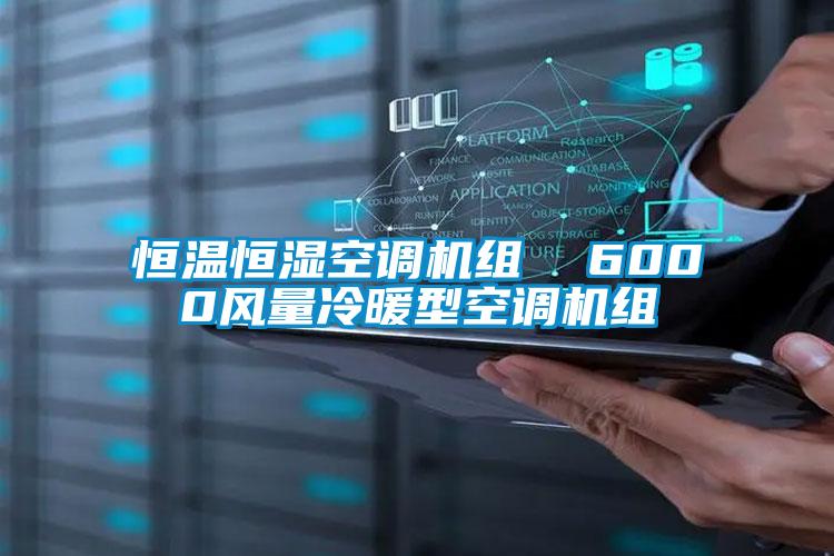 恒溫恒濕空調(diào)機組  6000風(fēng)量冷暖型空調(diào)機組