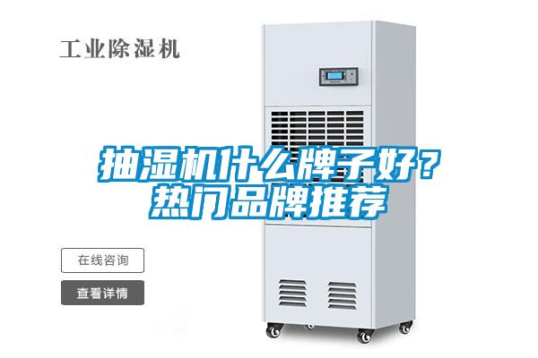 抽濕機什么牌子好?熱門品牌推薦