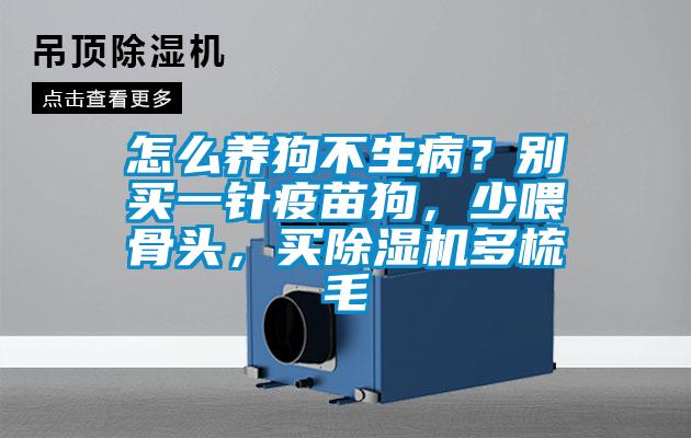 怎么養(yǎng)狗不生病?別買一針疫苗狗,少喂骨頭,買除濕機(jī)多梳毛