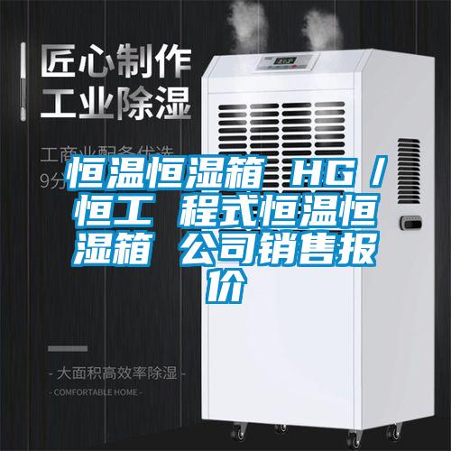 恒溫恒濕箱 HG/恒工 程式恒溫恒濕箱 公司銷售報價