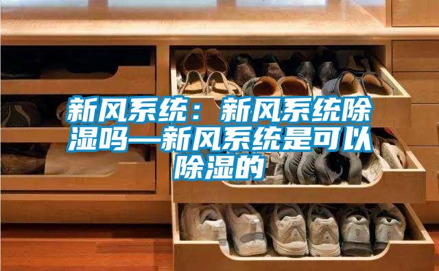 新風系統:新風系統除濕嗎—新風系統是可以除濕的