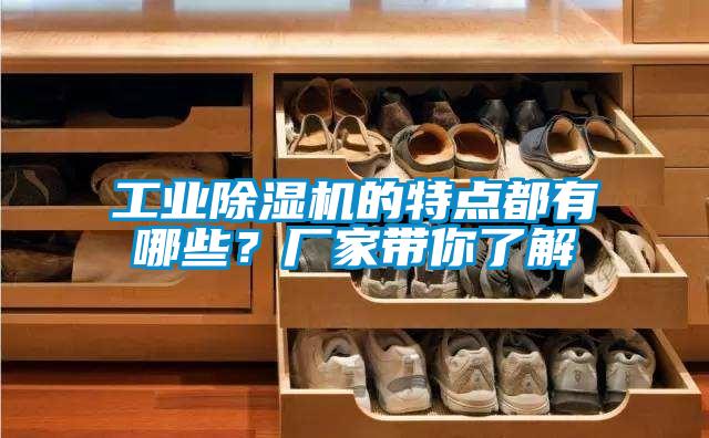 工業除濕機的特點都有哪些?廠家帶你了解