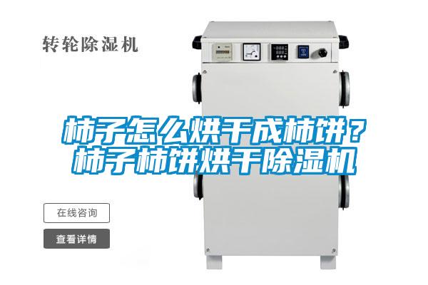 柿子怎么烘干成柿餅?柿子柿餅烘干除濕機(jī)