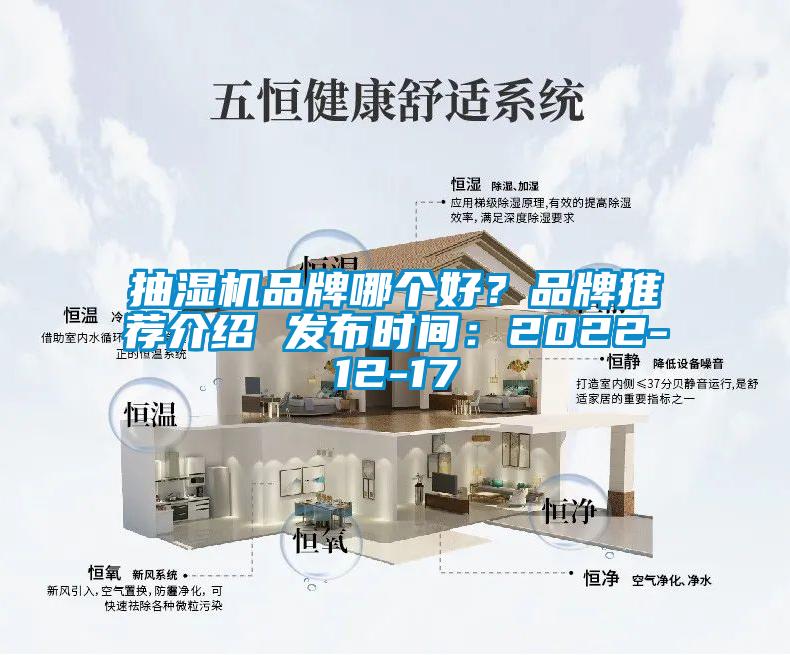 抽濕機品牌哪個好？品牌推薦介紹 發(fā)布時間：2022-12-17