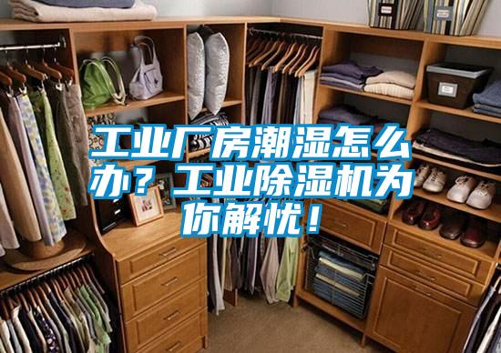 工業廠房潮濕怎么辦？工業除濕機為你解憂！