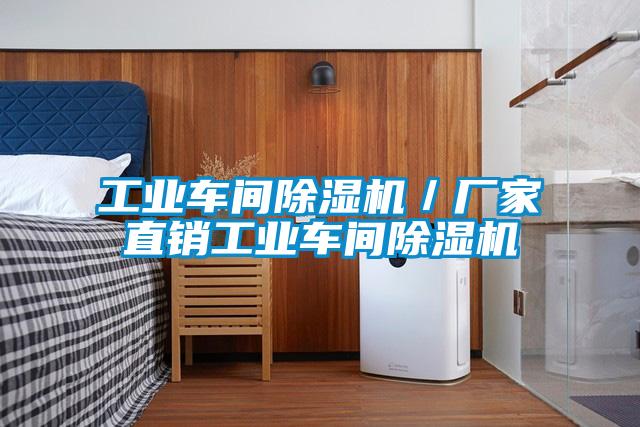 工業(yè)車間除濕機/廠家直銷工業(yè)車間除濕機