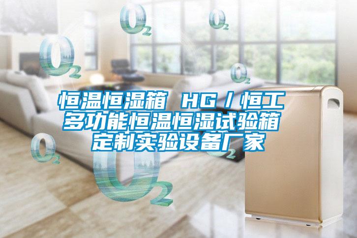 恒溫恒濕箱 HG/恒工 多功能恒溫恒濕試驗箱 定制實驗設備廠家