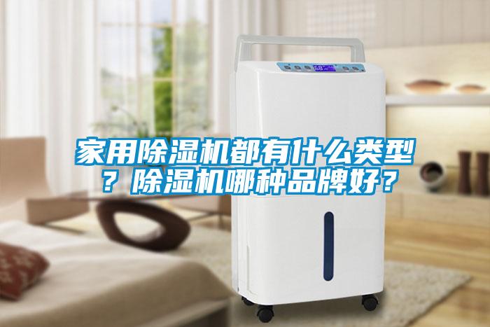家用除濕機都有什么類型?除濕機哪種品牌好?